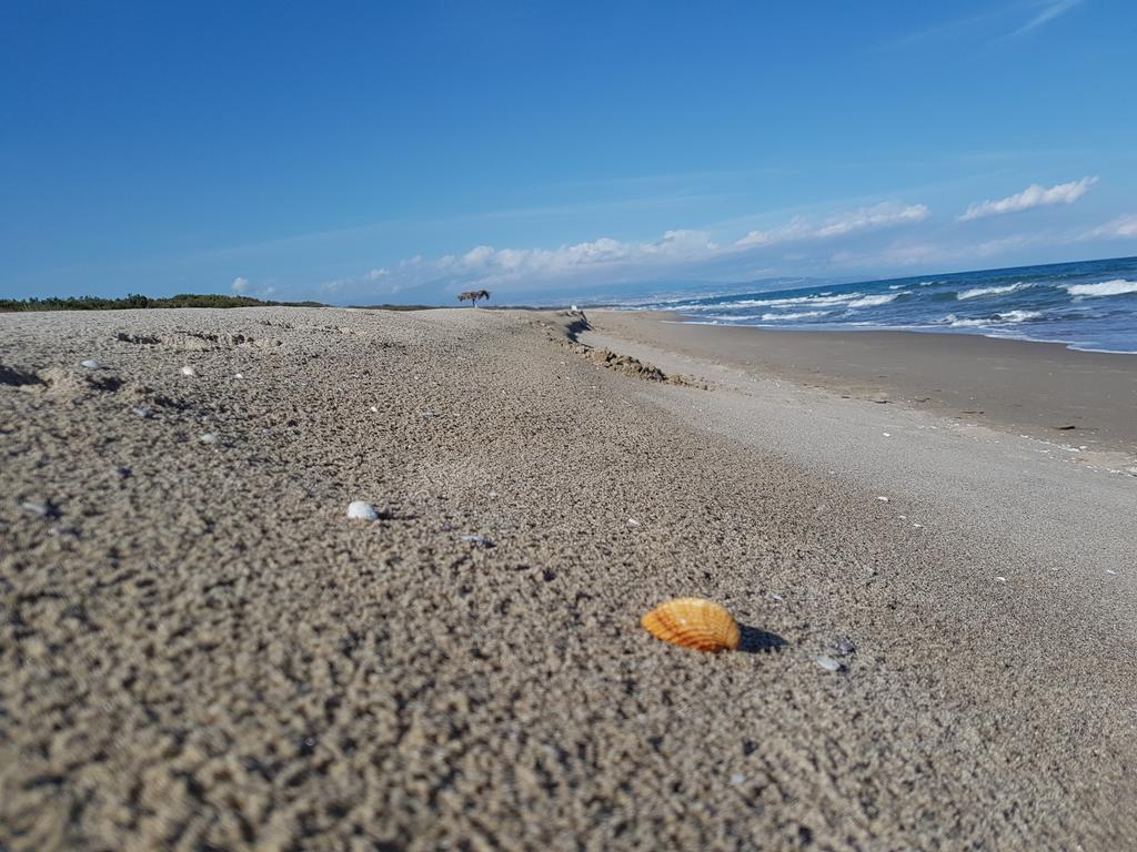 Villa Sulla Spiaggia Tra Catania E Siracusa Agnone Bagni Eksteriør bilde